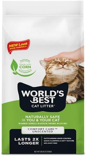 World best cat - world's, litter