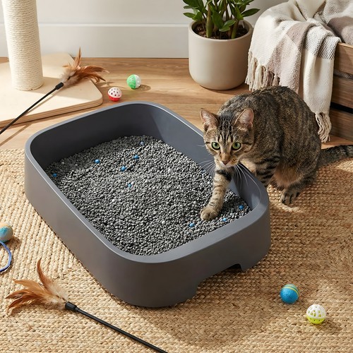 Clumping cat litter highly - cat,
