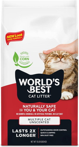 World best cat - best, litter