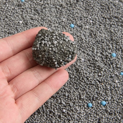 5kg fast clumping cat litter - fast,