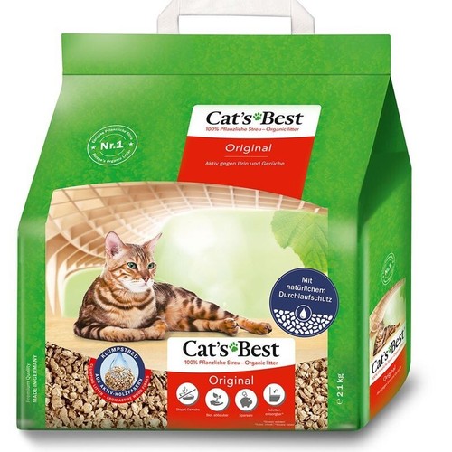 Cats best cat - best, original