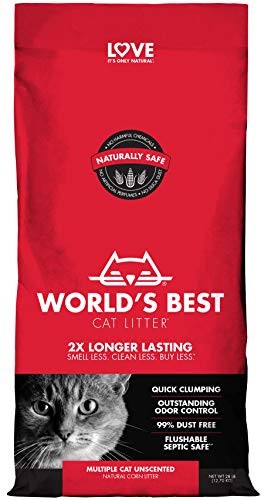 World best cat - best, litter