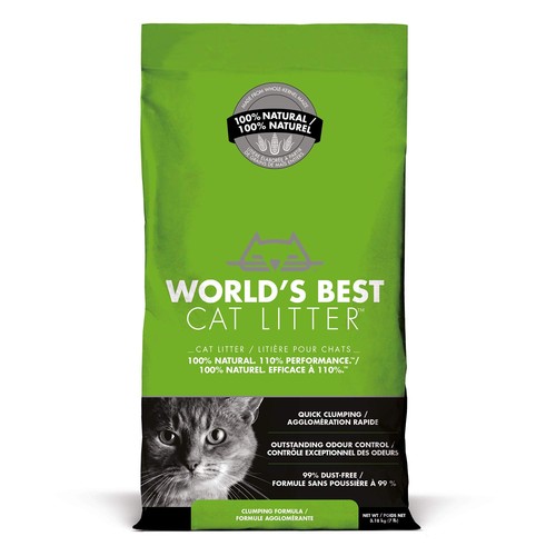 World best cat - world,