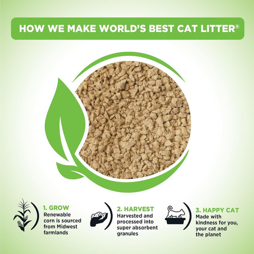 Worlds best cat - best,