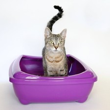 RSPCA Ultra Absorbent