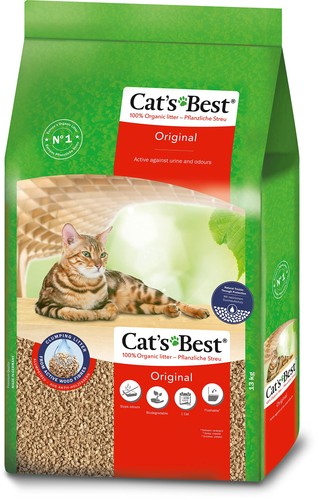 Ajm pet cats - ajm,